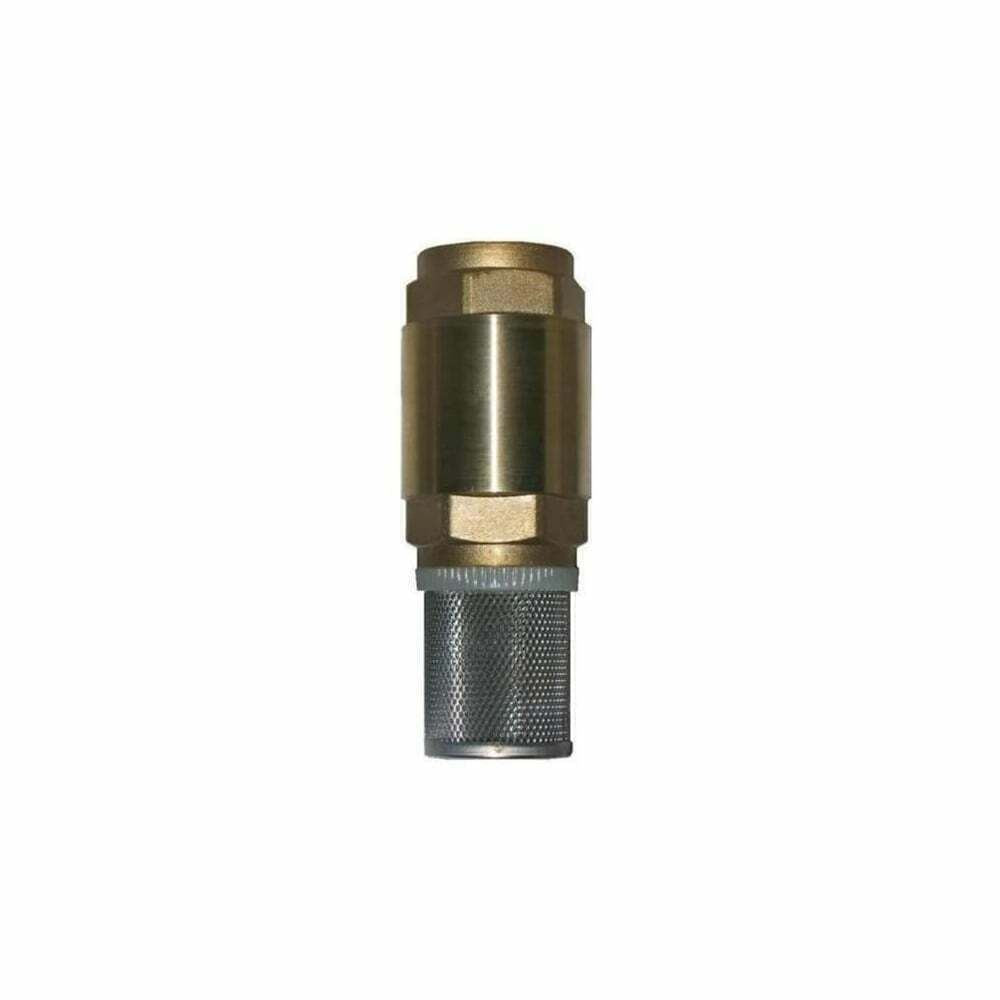 Foot Valve and Strainer 2" BSP Check Non Return Fuel Oil Pump Sediment 1402087 1x46/56